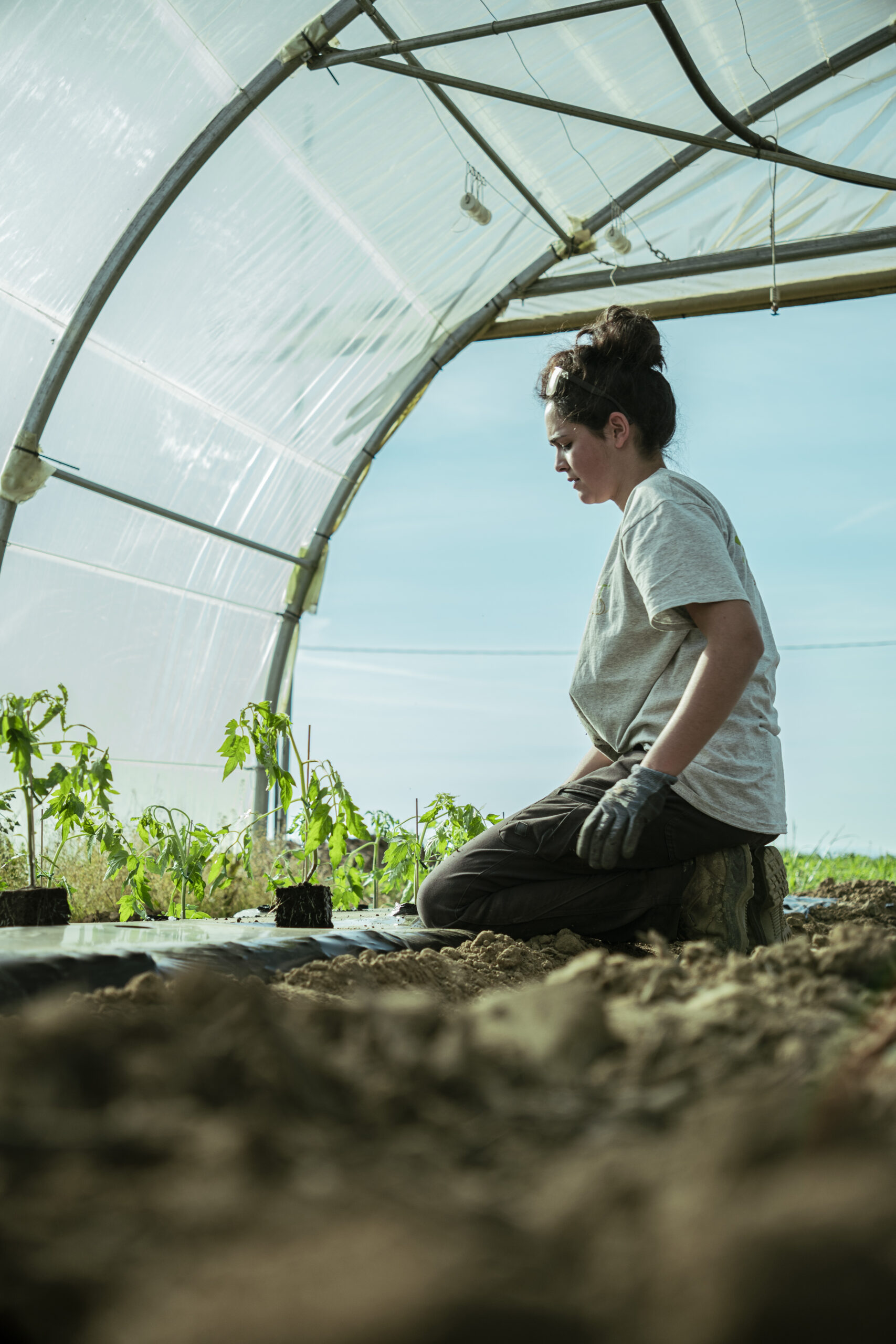 Découvrez en images la vie à la Ferme de Boudras : nos cultures variées, nos champs en pleine floraison, et le travail passionné de notre famille pour vous offrir le meilleur de la terre.