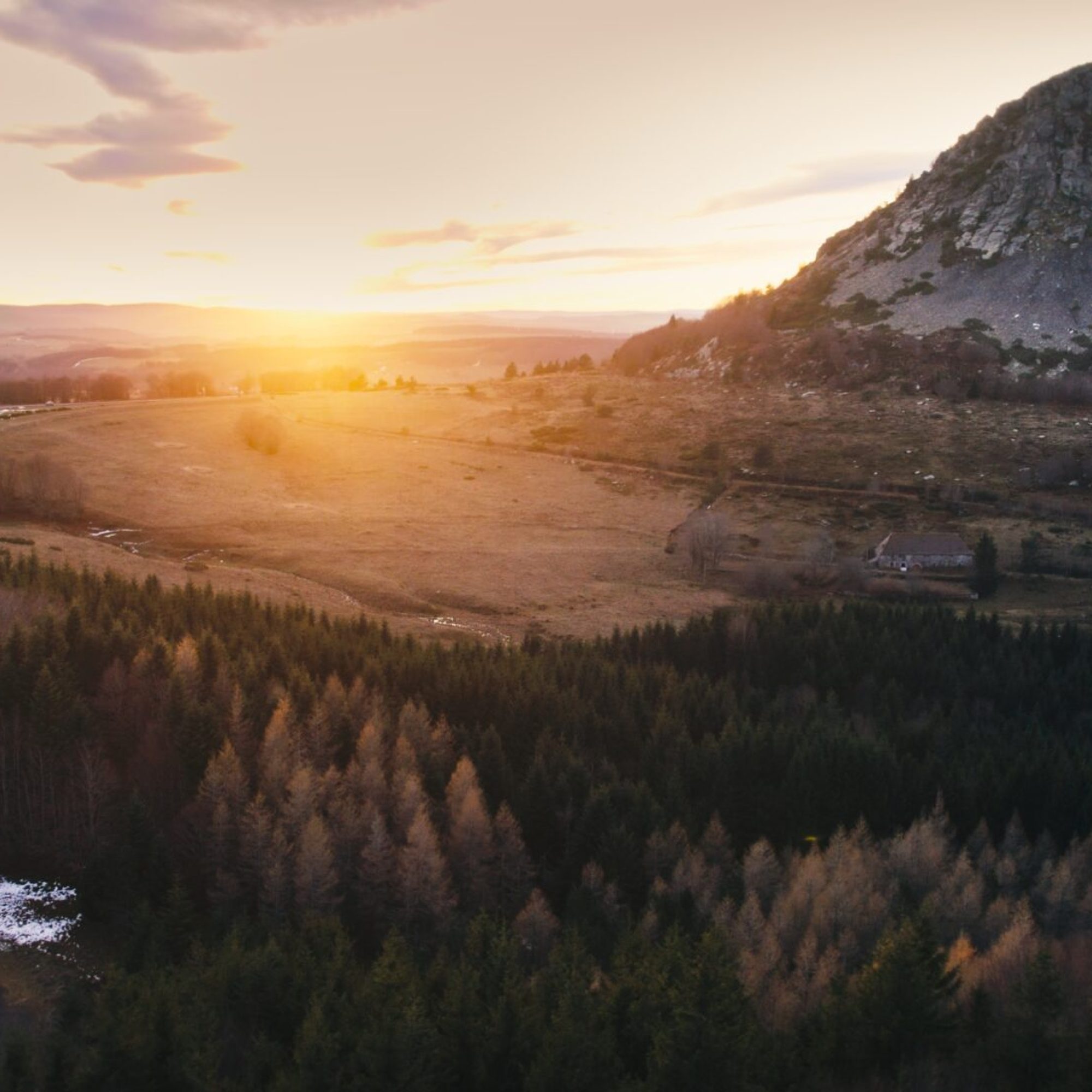 Image 2026-01-05 110440_3.10.1